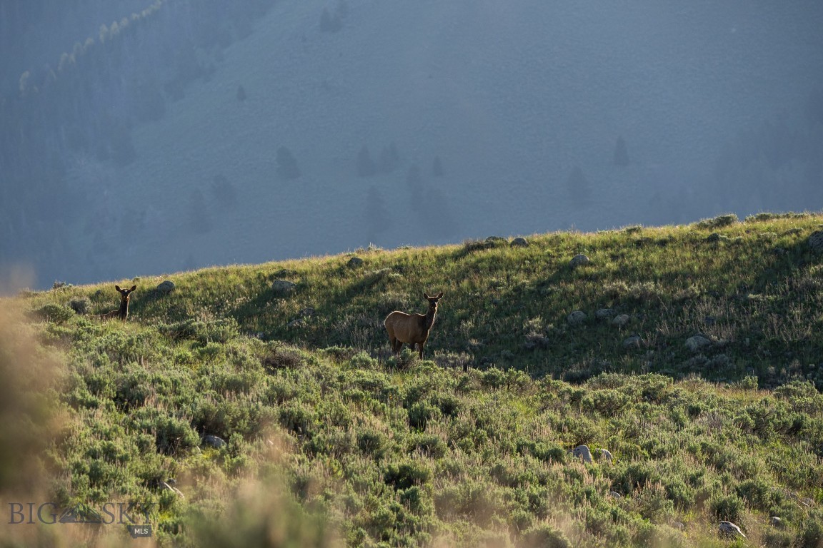Tbd Tbd Madison River Ranch Cameron, MT 59720 - Photo 22 of 27 Gallery Image 22