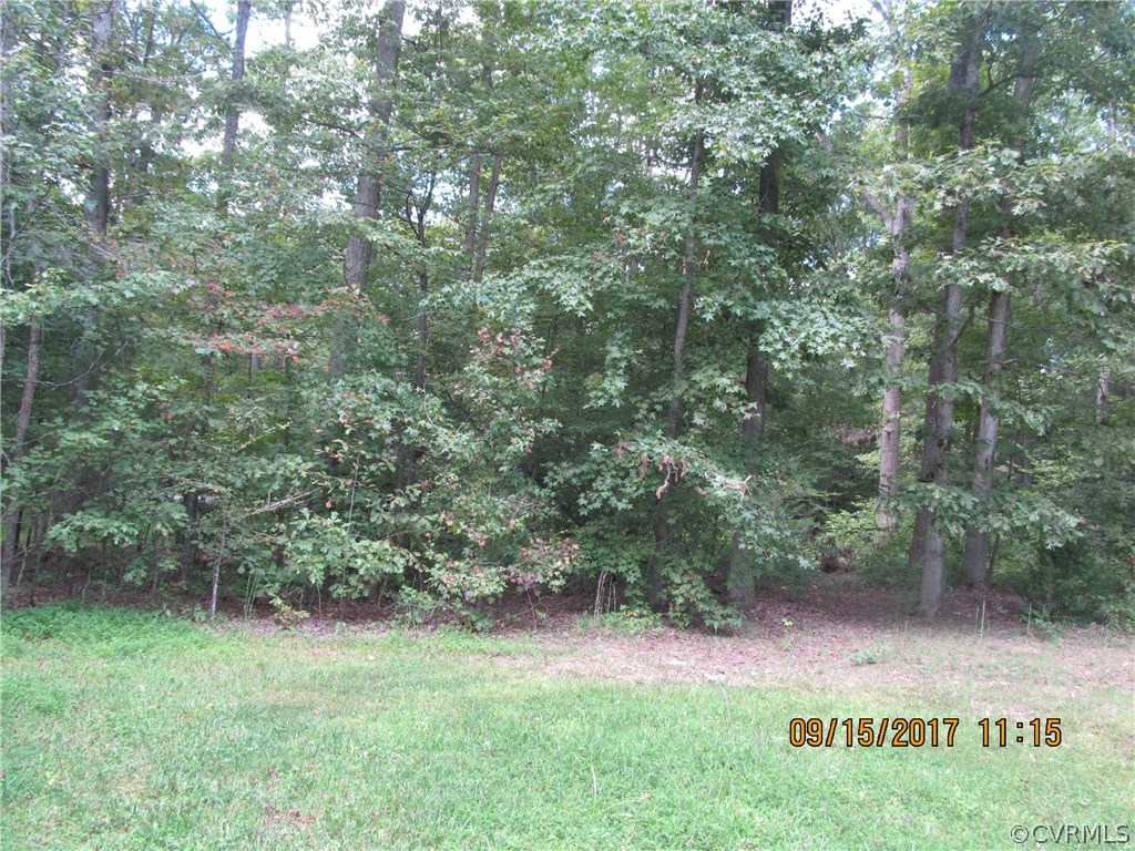 2366 Maidens Road Maidens, VA 23102 - Photo 37 of 45 Gallery Image 37