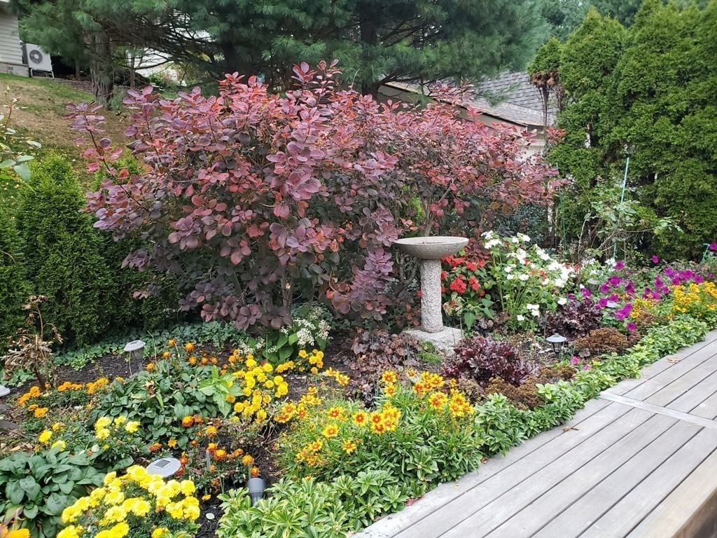 49 Rawson Road, Unit 49 Brookline, MA 02445 - Photo 32 of 42 a sign that is in front of flowers