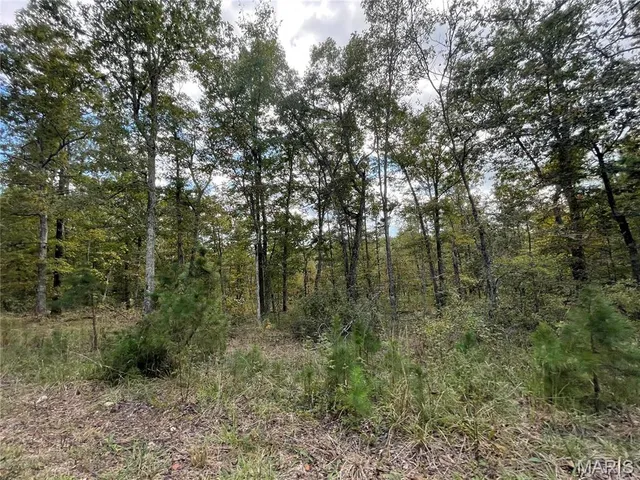 $29,900 | 16 Woodland Heights West, Poplar Bluff, MO 63901