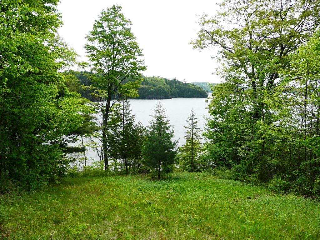 1244 Braeloch Road Colchester, VT 05446 - Photo 19 of 33 Gallery Image 19