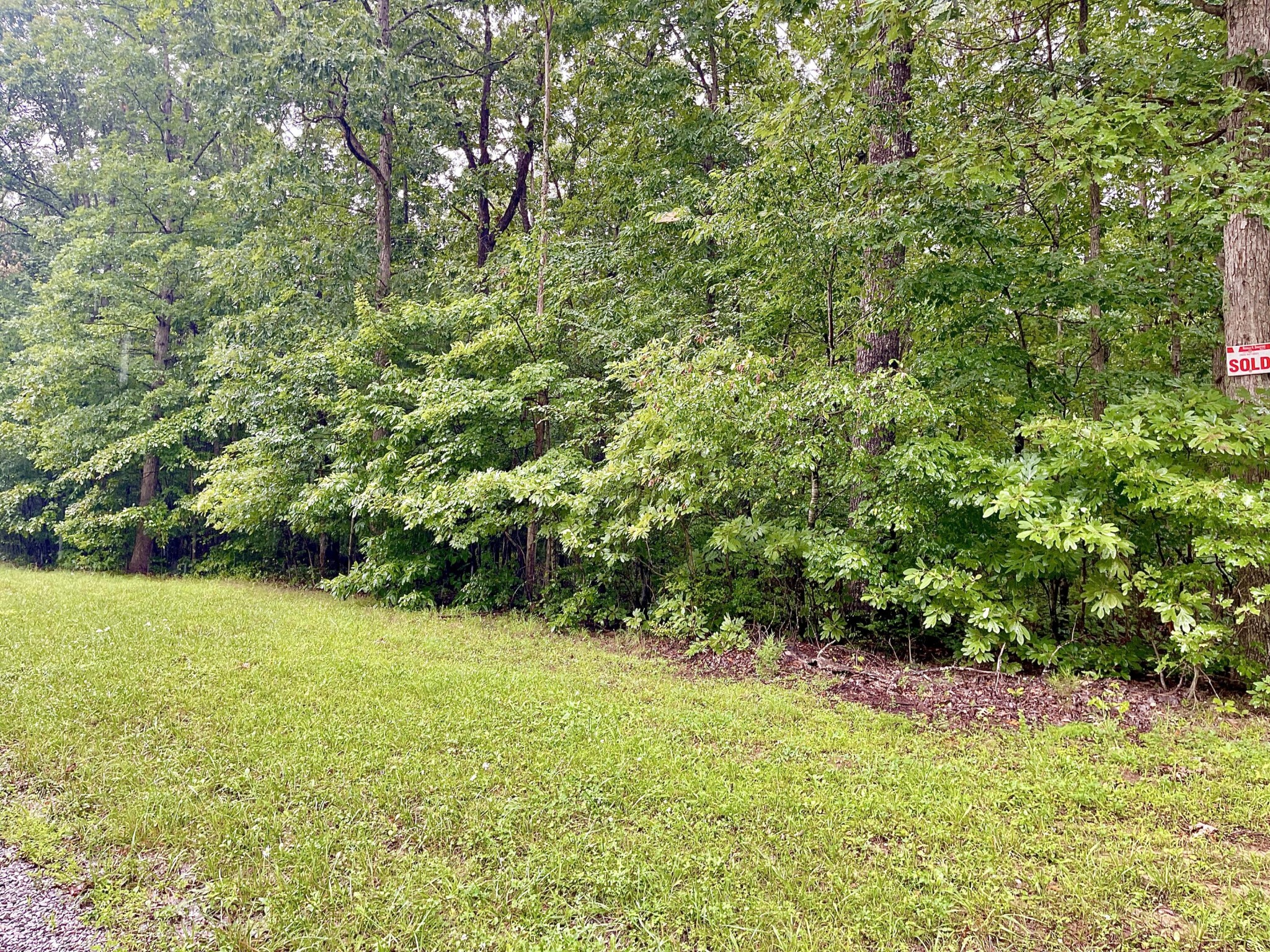 54 Lou Road Pikeville, TN 37367 - Photo 1 of 6 Gallery Image 1