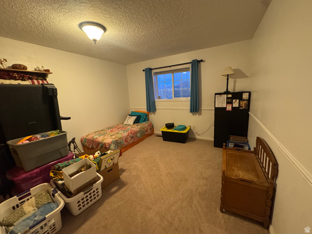 655 North 8th East Preston, ID 83263 - Photo 6 of 32 Bedroom featuring light colored carpet and a textured ceiling