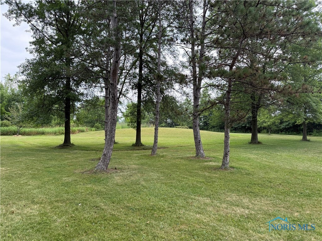 19445 Powers Road Defiance, OH 43512 - Photo 10 of 31 Gallery Image 10