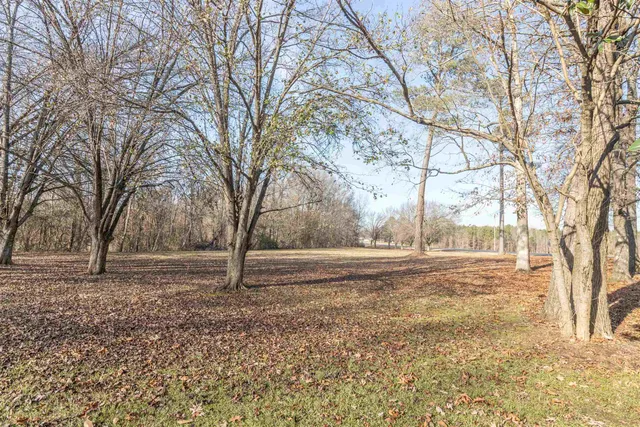 a house view with yard