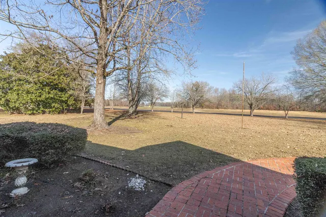 a view of a yard with trees