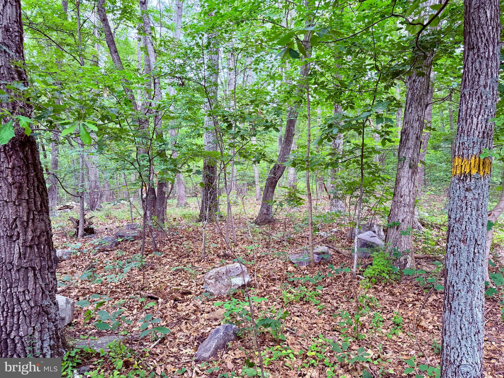 21908 White Oak Road Hagerstown, MD 21740 - Photo 1 of 9