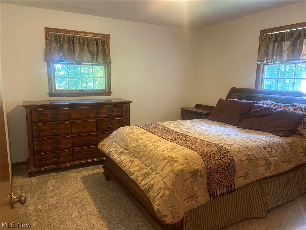 2445 South Elyria Road Wooster, OH 44691 - Photo 23 of 46 Bedroom featuring multiple windows and carpet