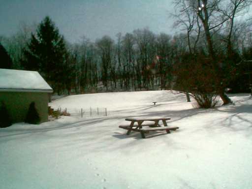 425 Amsler Ridge Road Economy, PA 15143 - Photo 6 of 8