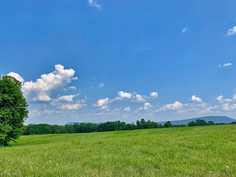 2334 Jackson Road Pilot Mountain, NC 27041 - Photo 1 of 14 11.9 acres of open land