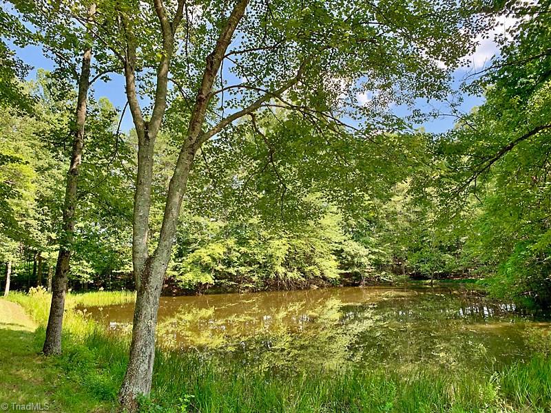 2334 Jackson Road Pilot Mountain, NC 27041 - Photo 2 of 14 stocked bass pond