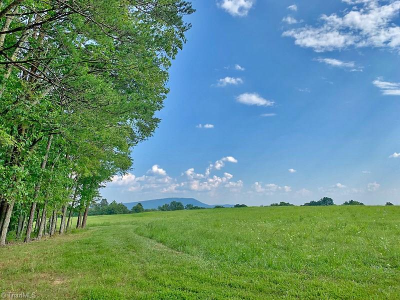 2334 Jackson Road Pilot Mountain, NC 27041 - Photo 3 of 14 view of mountains in the distance