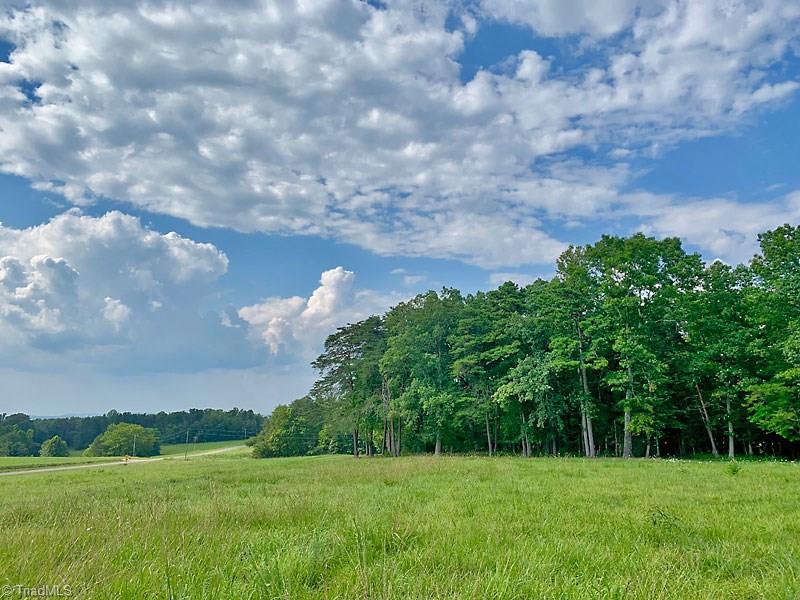 2334 Jackson Road Pilot Mountain, NC 27041 - Photo 5 of 14 rolling pasture land