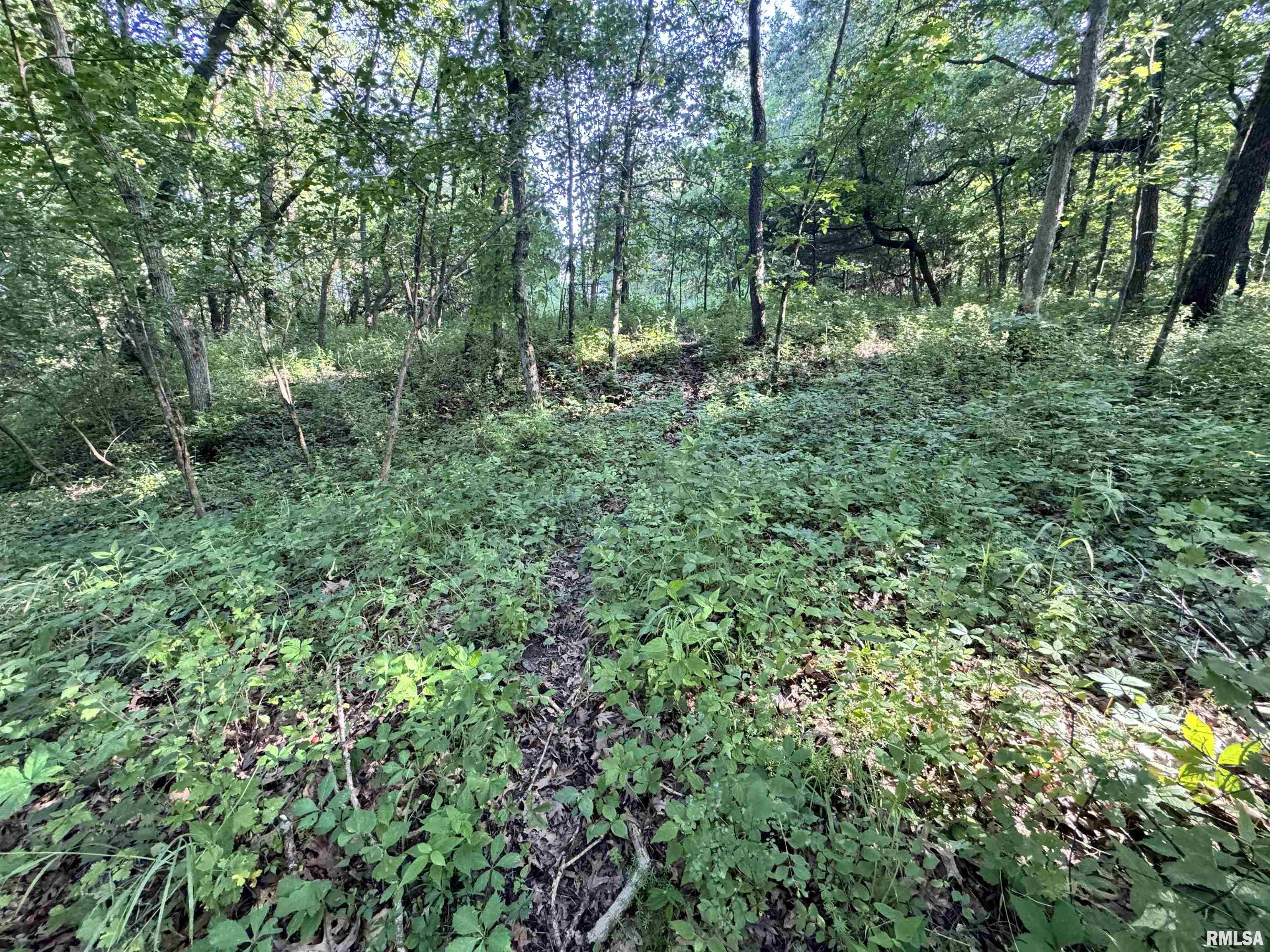293 East 2700th Street Liberty, IL 62347 - Photo 35 of 47