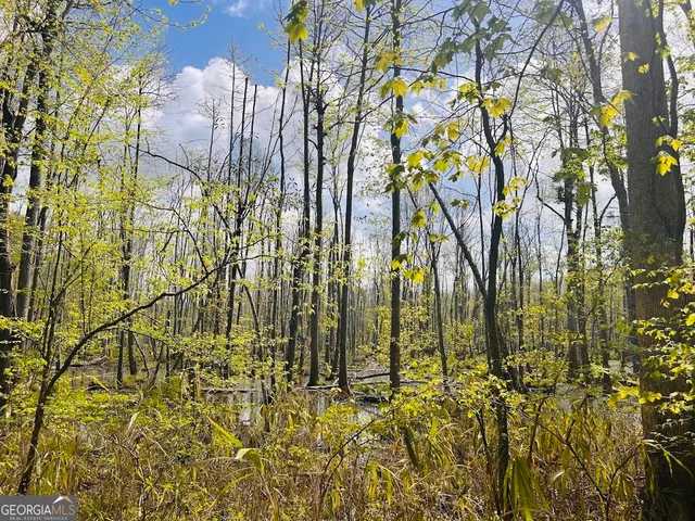 $462,500 | 0 Collier Road, Concord, GA 30206