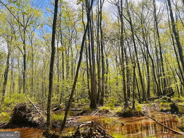 $462,500 | 0 Collier Road, Concord, GA 30206