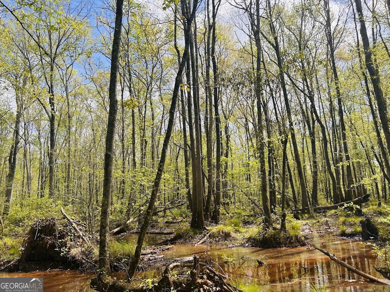 0 Collier Road Concord, GA 30206 - Photo 14 of 24