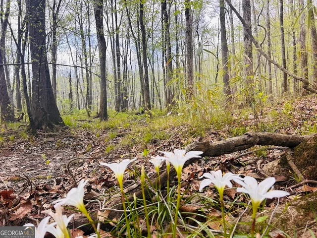 $462,500 | 0 Collier Road, Concord, GA 30206