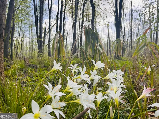 $462,500 | 0 Collier Road, Concord, GA 30206