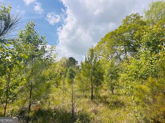 $462,500 | 0 Collier Road, Concord, GA 30206