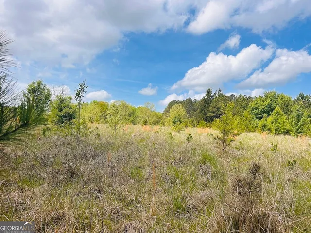 $462,500 | 0 Collier Road, Concord, GA 30206