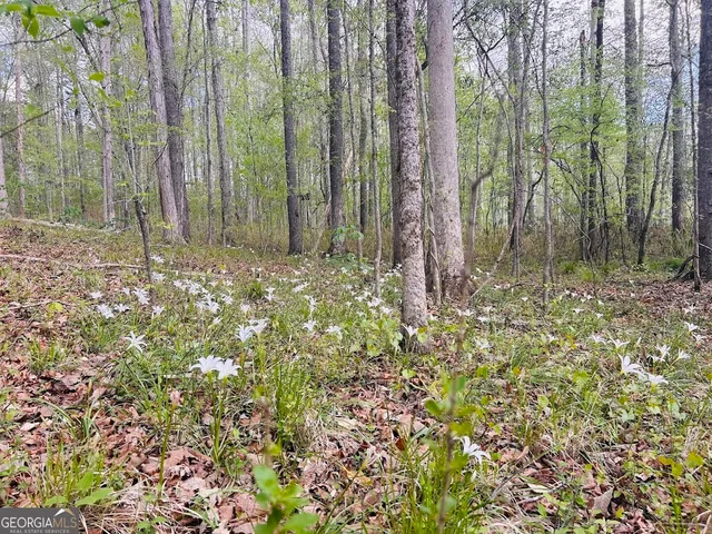 $462,500 | 0 Collier Road, Concord, GA 30206