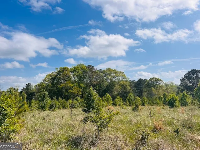 $462,500 | 0 Collier Road, Concord, GA 30206