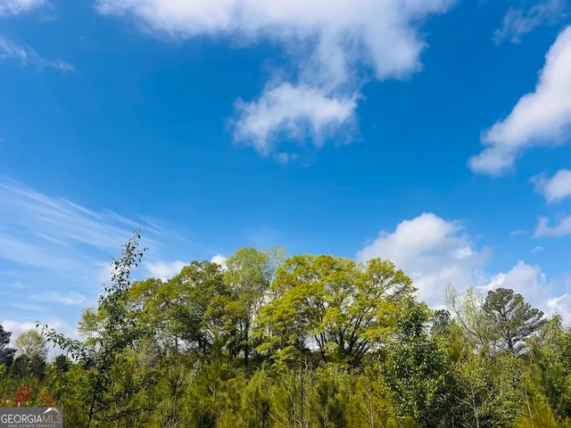 $462,500 | 0 Collier Road, Concord, GA 30206