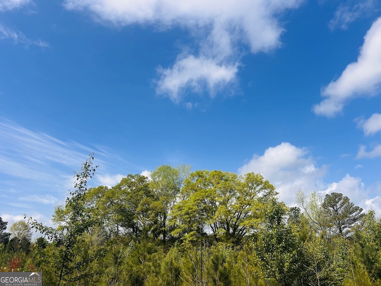 0 Collier Road Concord, GA 30206 - Photo 4 of 24