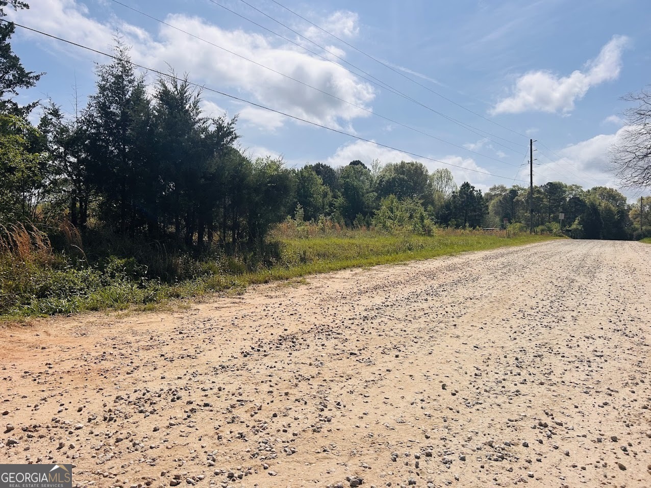 0 Collier Road Concord, GA 30206 - Photo 5 of 24