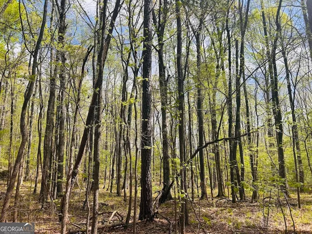 $462,500 | 0 Collier Road, Concord, GA 30206