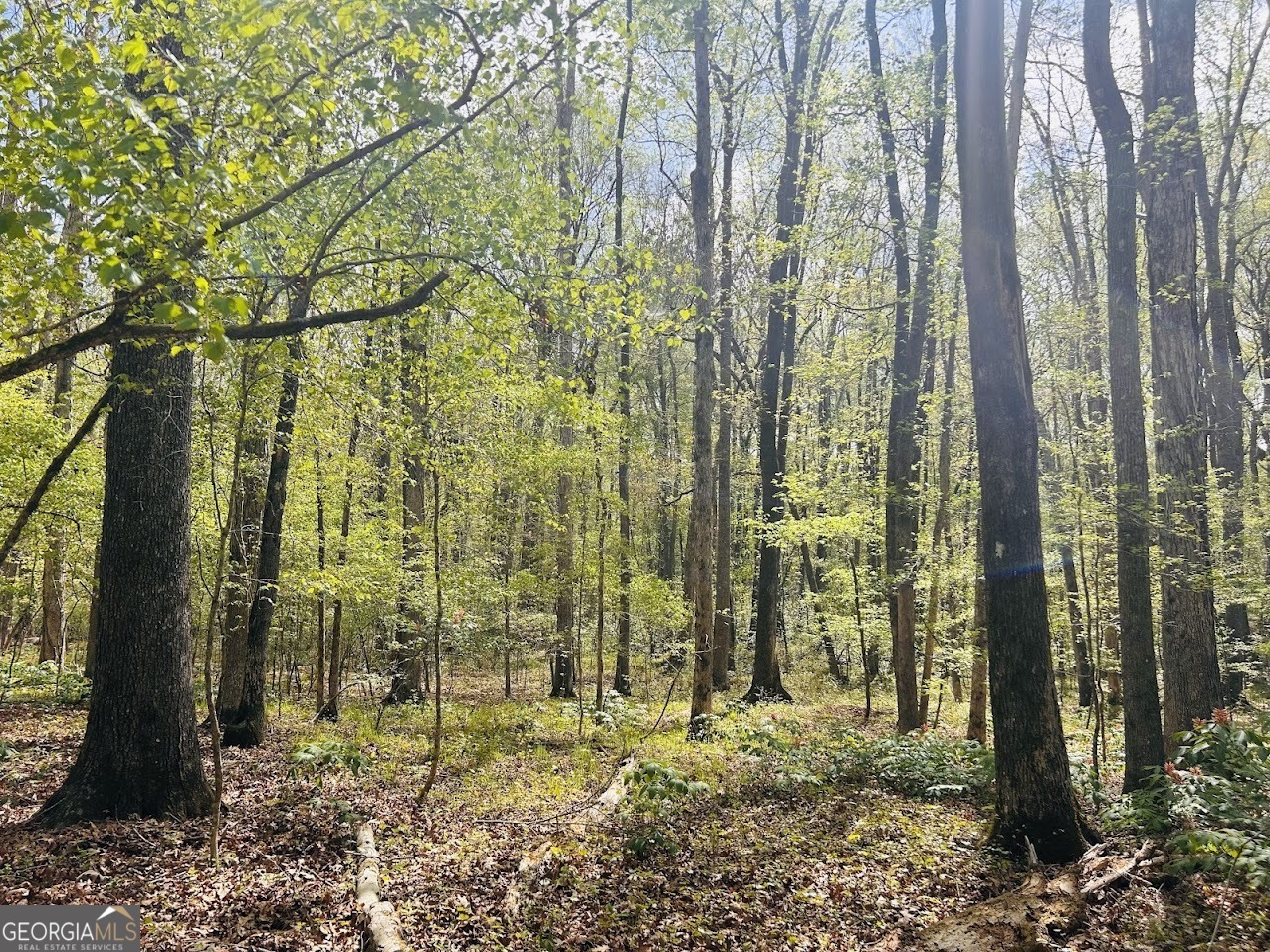 0 Collier Road Concord, GA 30206 - Photo 9 of 24