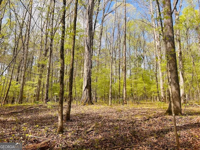 $462,500 | 0 Collier Road, Concord, GA 30206