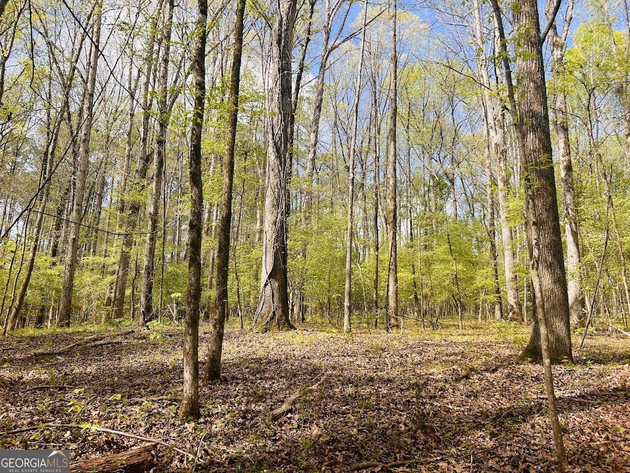 0 Collier Road Concord, GA 30206 - Photo 10 of 24