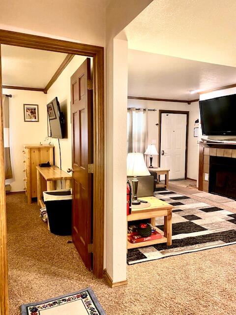 150 Ridgeview Street, Unit 205 Brian Head, UT 84719 - Photo 34 of 60 IMG_2456