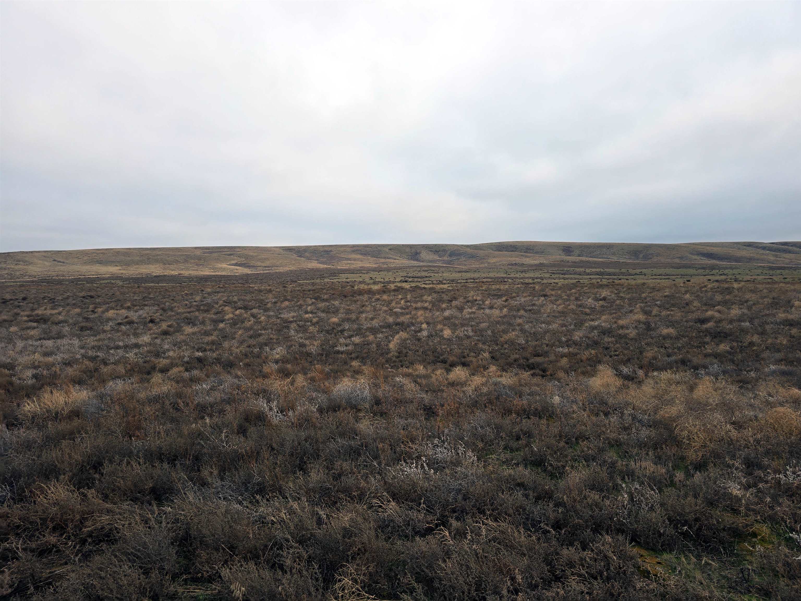 4200 Wadsworth Road Kahlotus, WA 99335 - Photo 4 of 28