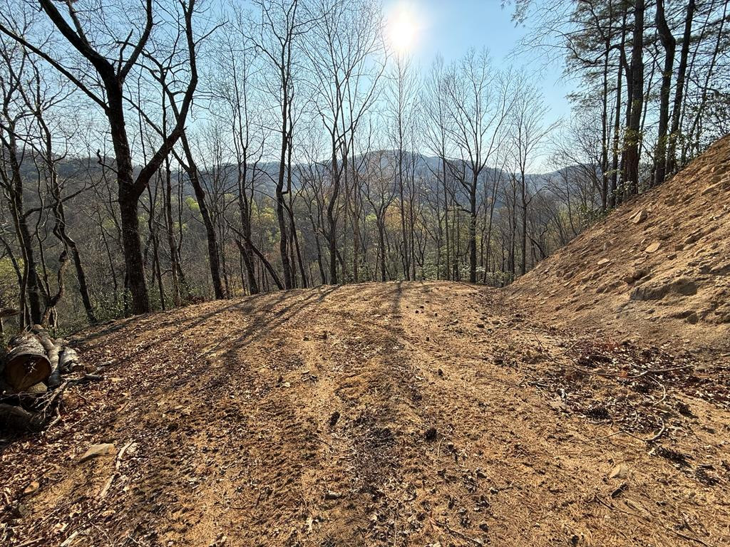 Lot 5 Huffman Creek Road Robbinsville, NC 28771 - Photo 1 of 13 Main View