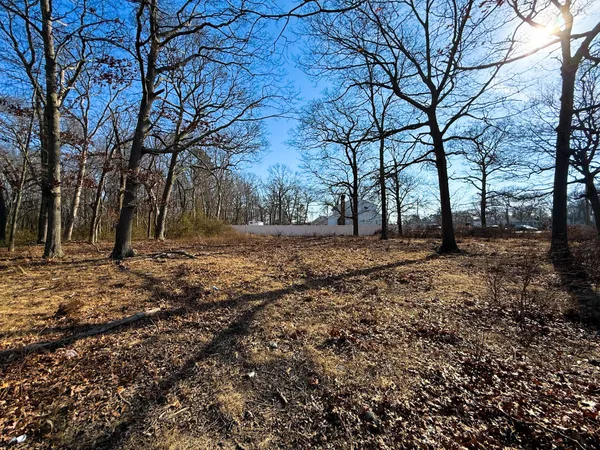 a view of a yard with trees