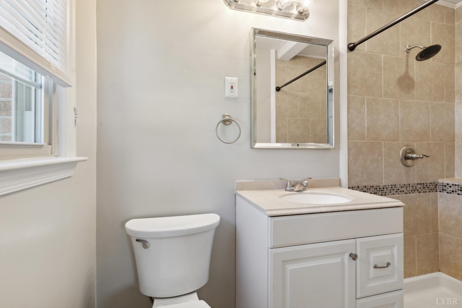 311 Bob Circle Forest, VA 24551 - Photo 46 of 61 a bathroom with a toilet sink and mirror