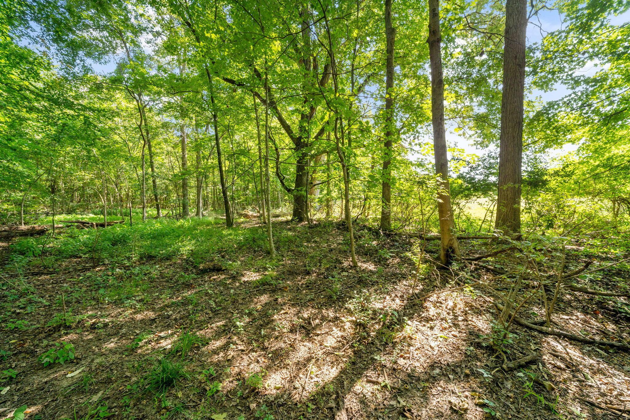 4944 Rutherford Road Powell, OH 43065 - Photo 26 of 100 4944 Rutherford Rd