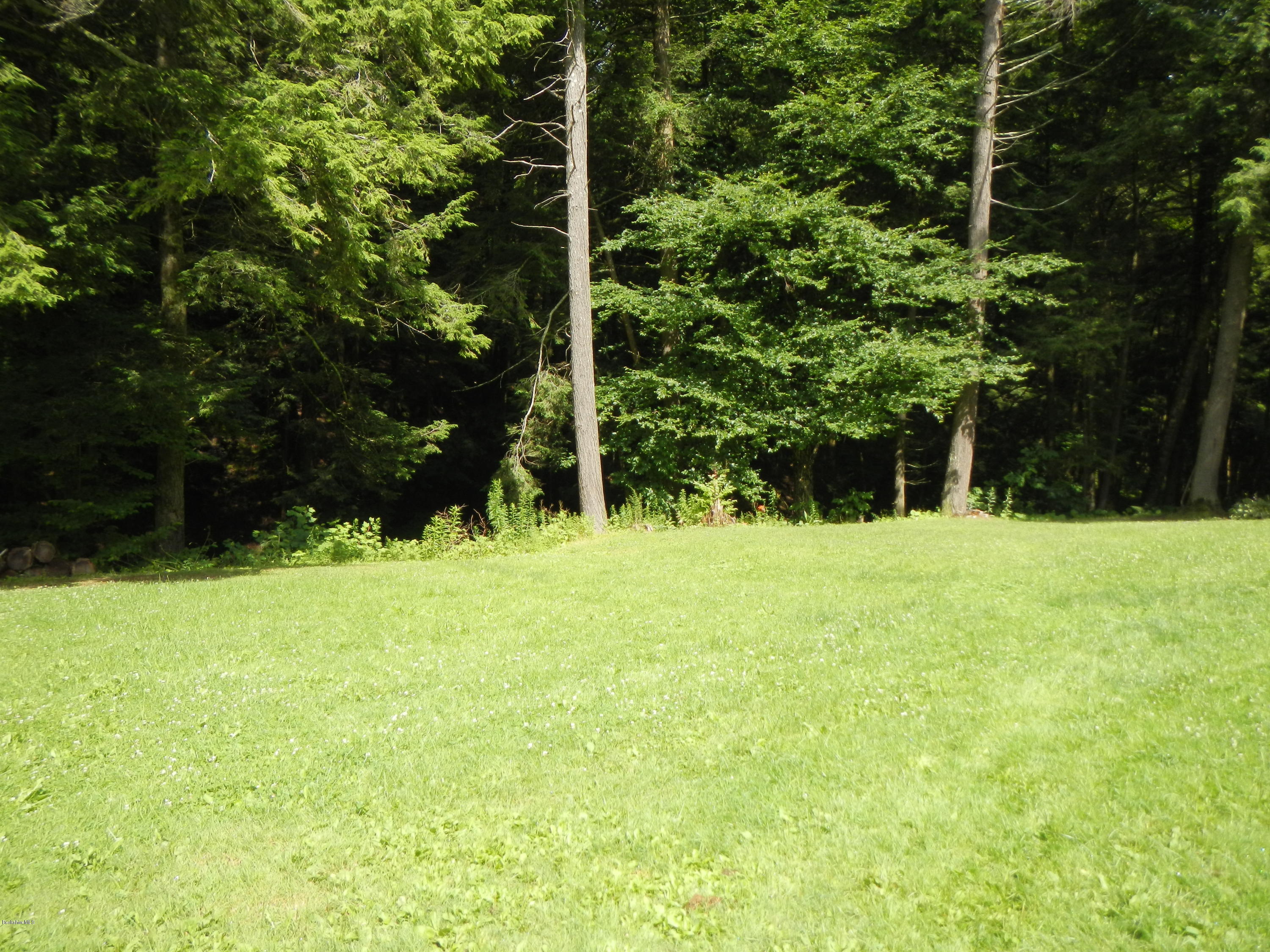 389 Sandmill Road Cheshire, MA 01225 - Photo 25 of 33 a view of green field