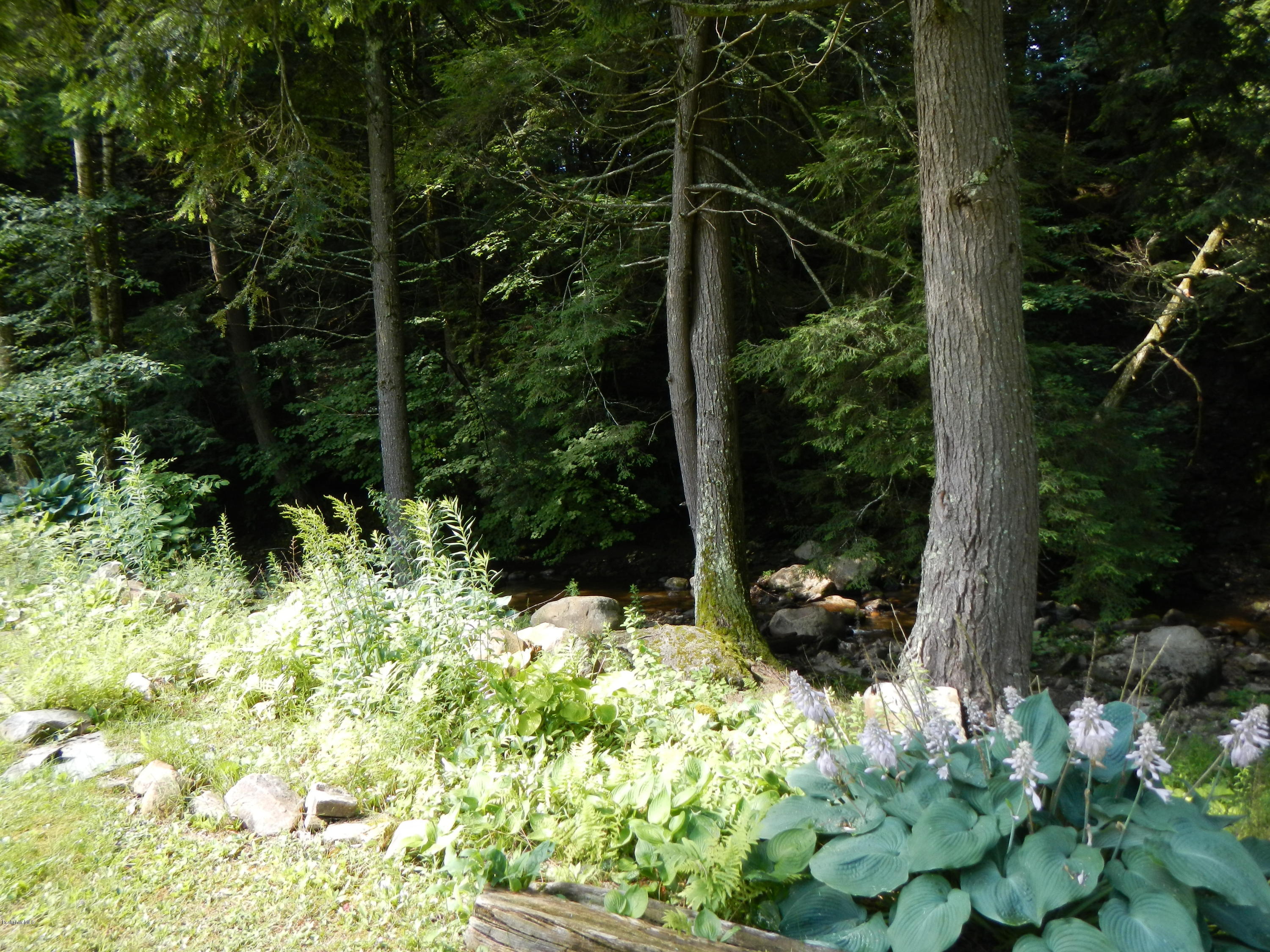 389 Sandmill Road Cheshire, MA 01225 - Photo 26 of 33 a view of a garden with plants