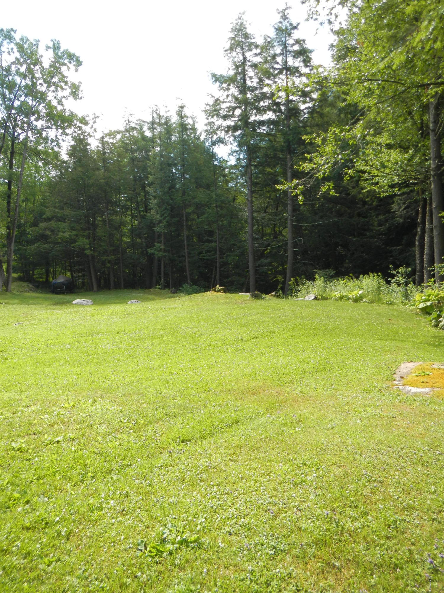 389 Sandmill Road Cheshire, MA 01225 - Photo 29 of 33 a view of a large yard with large trees