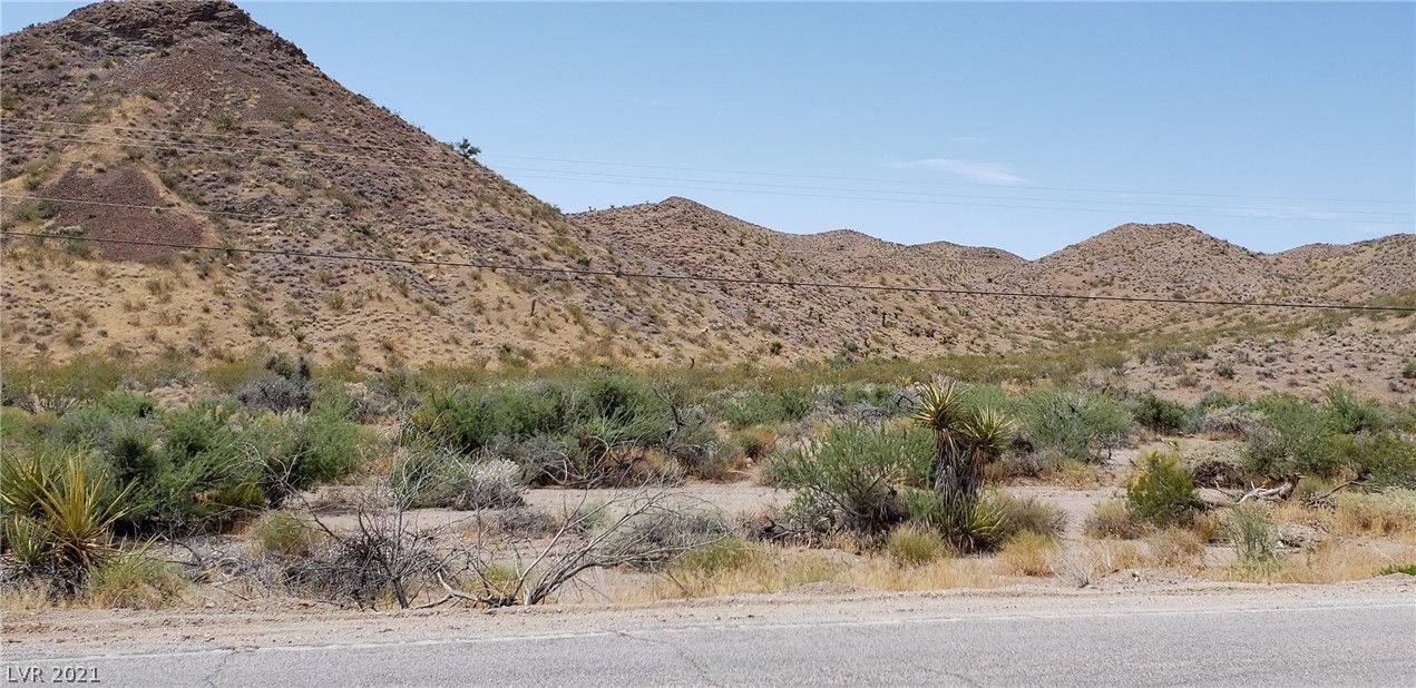 1990 Cottonwood Cove Road Searchlight, NV 89046 - Photo 11 of 23