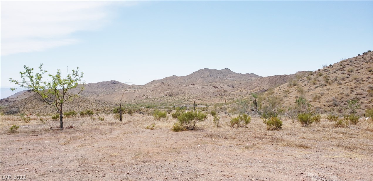 1990 Cottonwood Cove Road Searchlight, NV 89046 - Photo 8 of 23