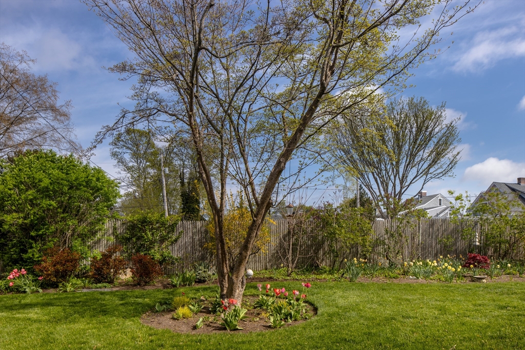 31 Main Street Marion, MA 02738 - Photo 14 of 29 a backyard of a house with lots of green space
