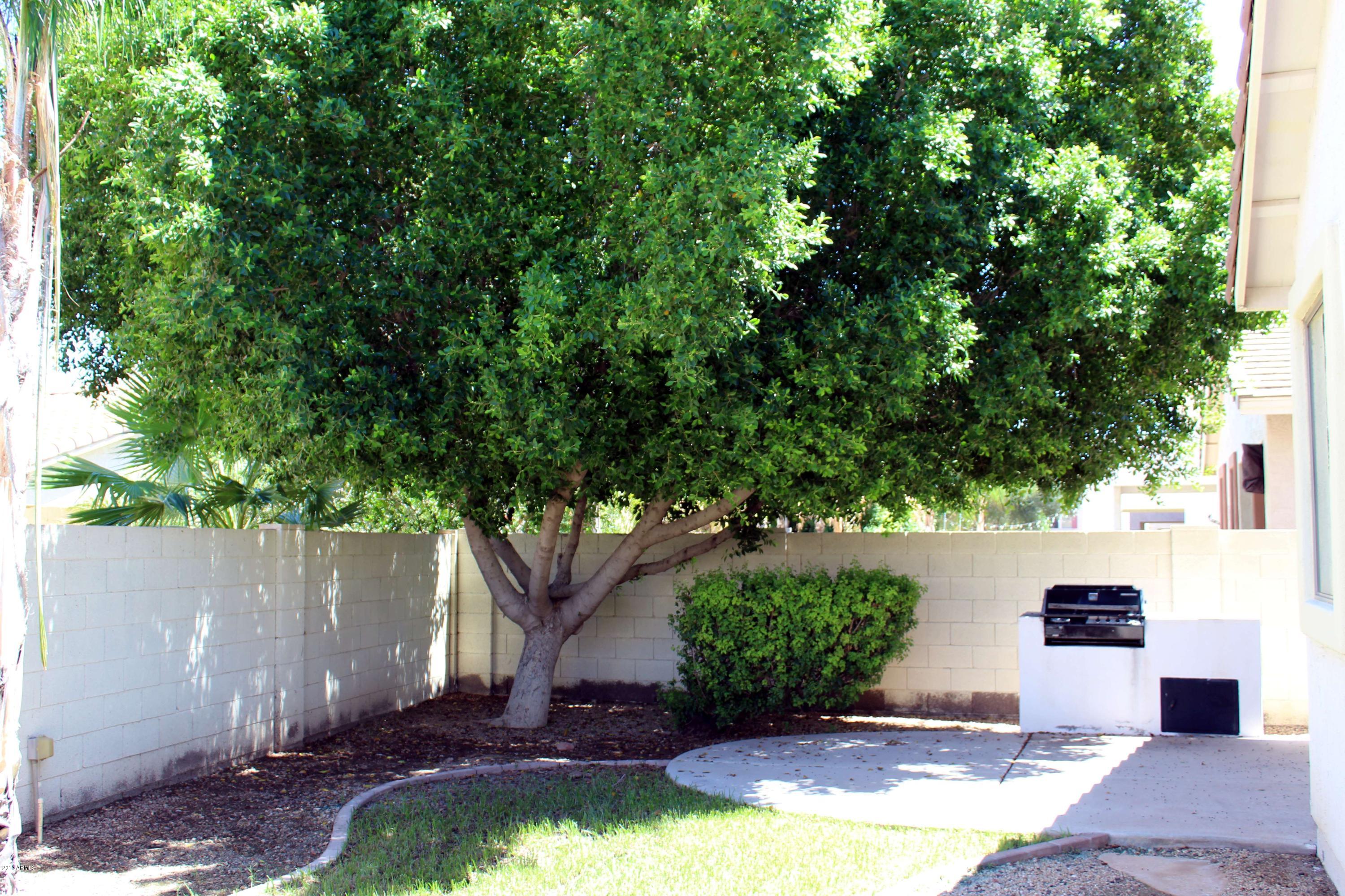 2712 East Fremont Road Phoenix, AZ 85042 - Photo 28 of 28 IMG_0065