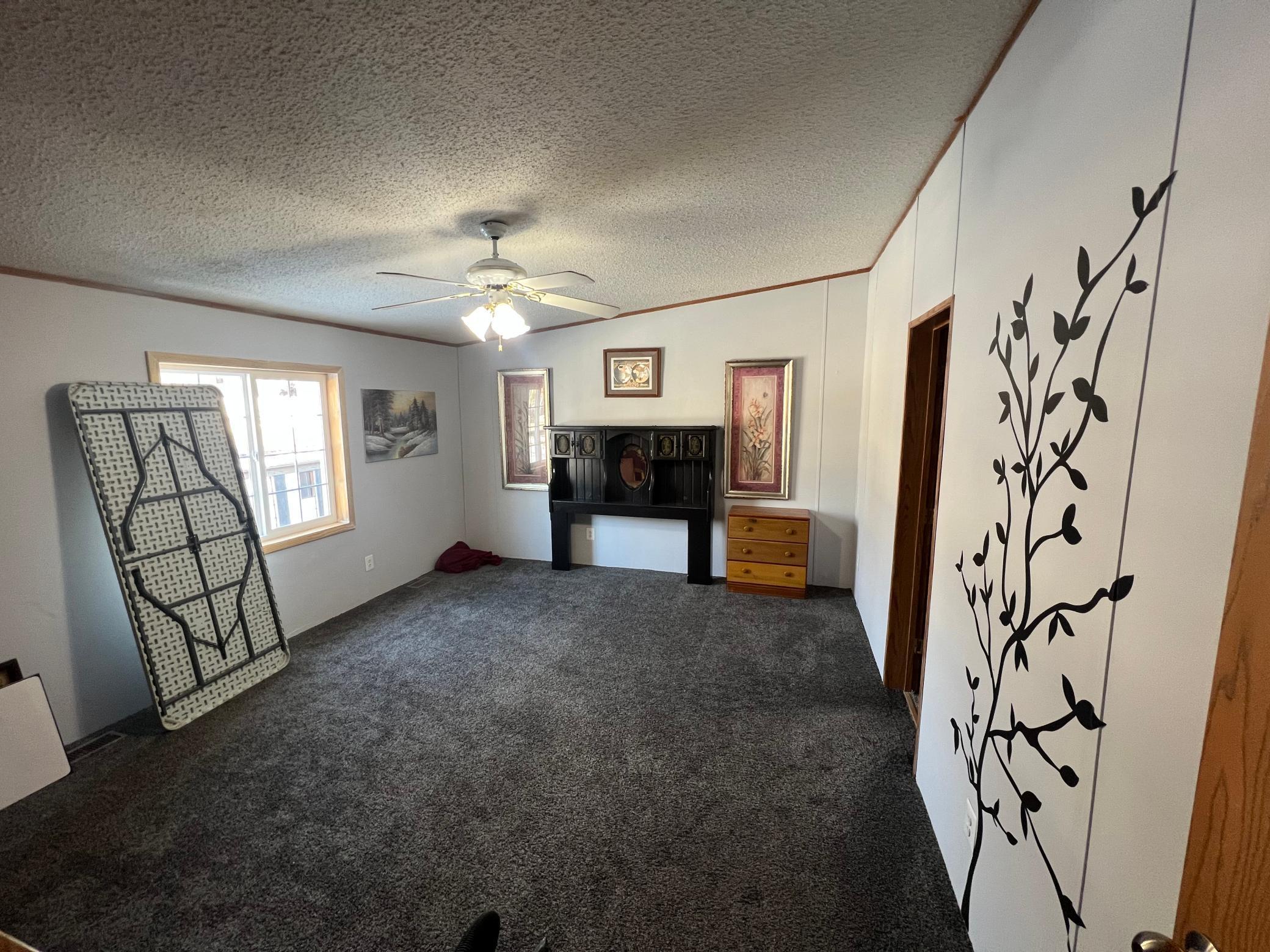 121 3rd Street Bluffton, MN 56518 - Photo 8 of 20