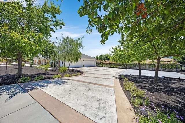 a view of a yard with tree s