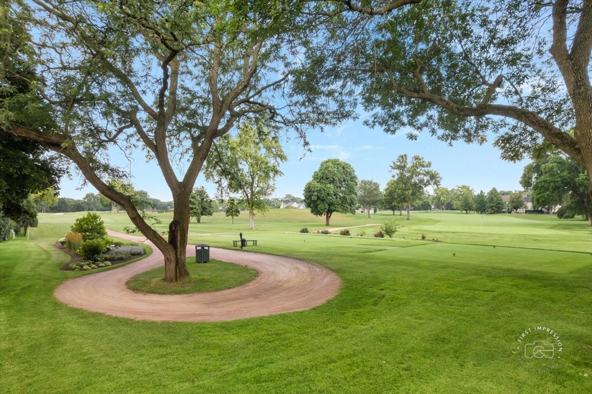 1432 Calcutta Lane Naperville, IL 60563 - Photo 4 of 43 a view of a garden with trees